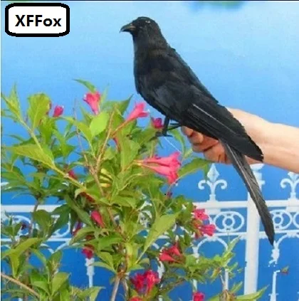 

new simulation black crow toy foam&furs turned crow doll gift about 30cm xf0390