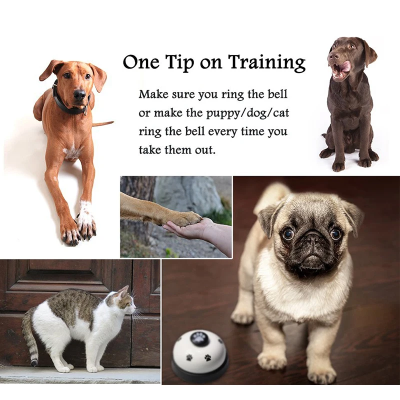 Creative Dog Training Bells Puppy Training Feeding Reminder Bell For Pet Dog Cat  Food Feeder Call Bell Pet Educational Supplies