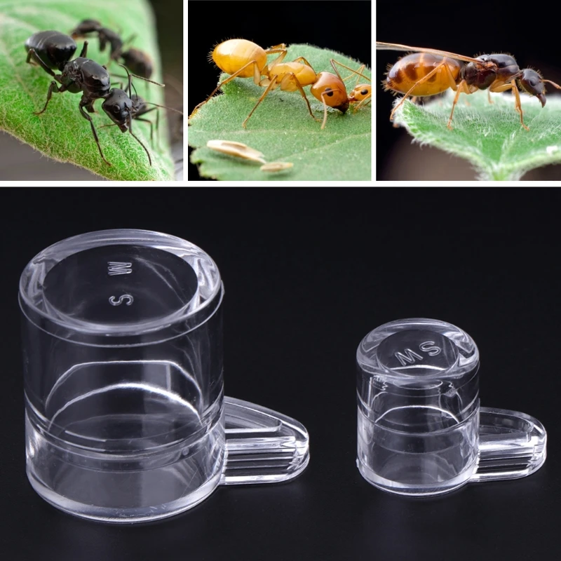 Ant Feeder Water Feed Area For Ant Nest House Farm Acrylic Round Drinking Bowl