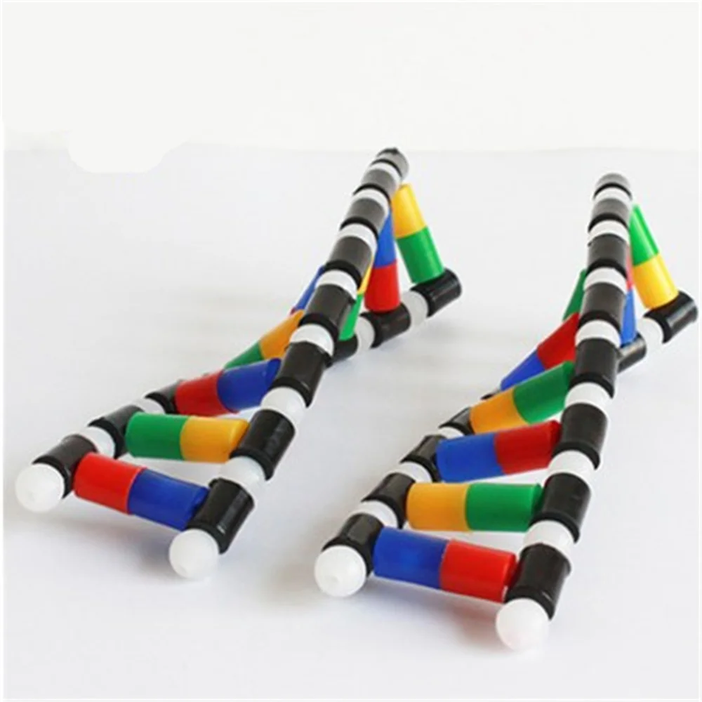 DNA Dubbele Helix Structuur Model Onderwijs Apparatuur