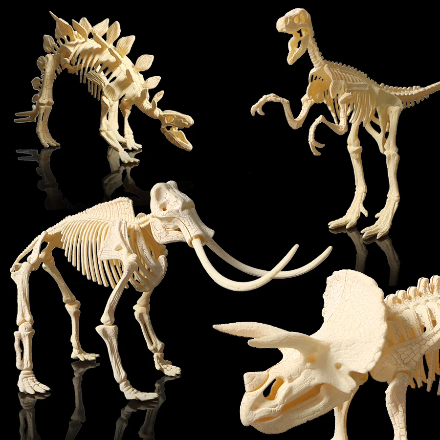 3D skeleton DIY assembly dinosaur models plastic bone toy for children,Triceratops/stegosaurus/velociraptor/mammoth for choose