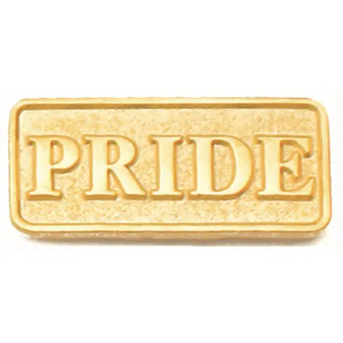 Gold Plated PRIDE Lapel Pin  low price custom gay badges lapel pin cheap custom made metal gold badges pin