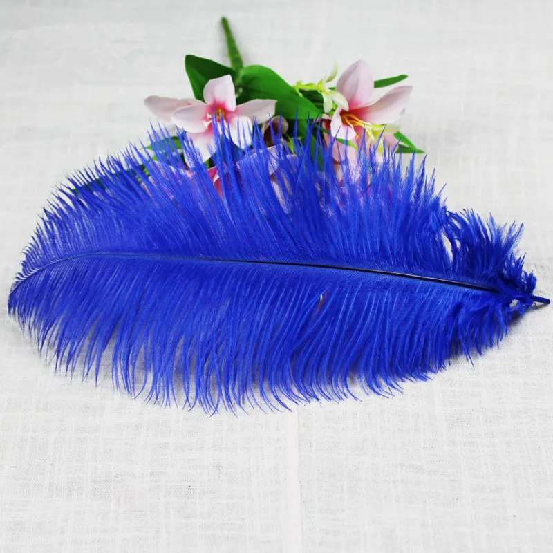 

Wholesale free shipping high quality 20pcs natural blue ostrich feather 20-22inch / 50-55cm Variety of decorative