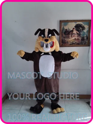 

mascot quality bulldog bull dog costume custom cartoon character cosplay fancy dress mascotte theme carnival costume