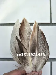 Di alta qualità del commercio all'ingrosso bella 20 pcs di alta qualità naturale piume di fagiano 5-10 cm/2-4 pollici decorativo fai da te accessori Dei Monili