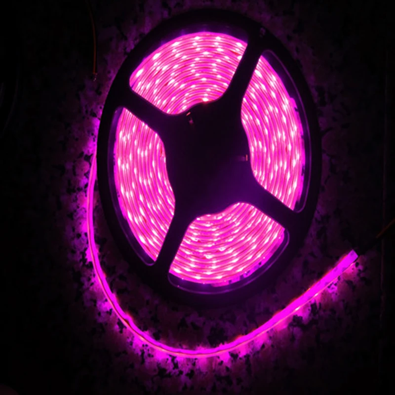 Romantic Pink LED Strip light  IP65 Waterproof 3528 SMD 60LED/M 5M flexible LED rope bar light DC12V Led decroation tape