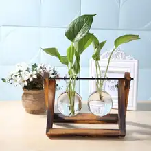 Glass Wood Vase Planter #2