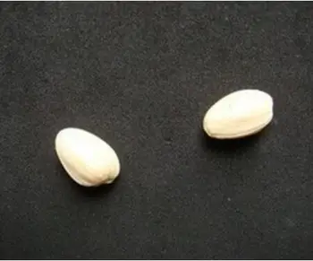 مكسرات الفستق من خلال كوب زجاجي خدع سحرية اختراق ماجيا الساحر عن قرب أوهام للتحايل الدعائم Mentalism كوميديا