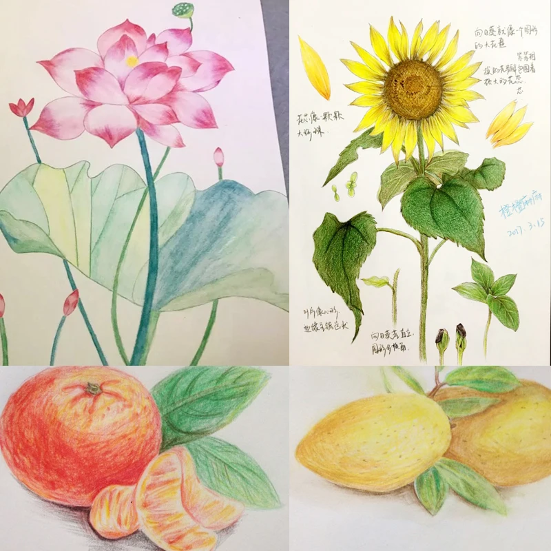 Faber Castell 72 color water soluble lead color 60 color watercolor pencil red box set image 6