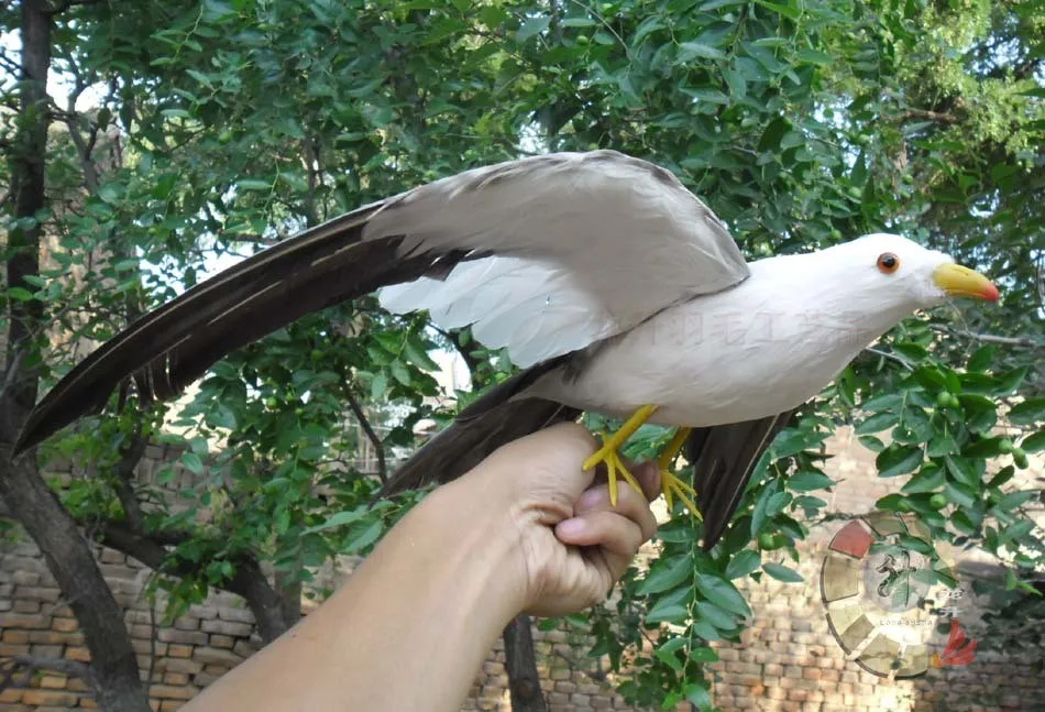 32x50cm artificial Bird feathers seagull bird model home garden decoration filming prop gift h1087