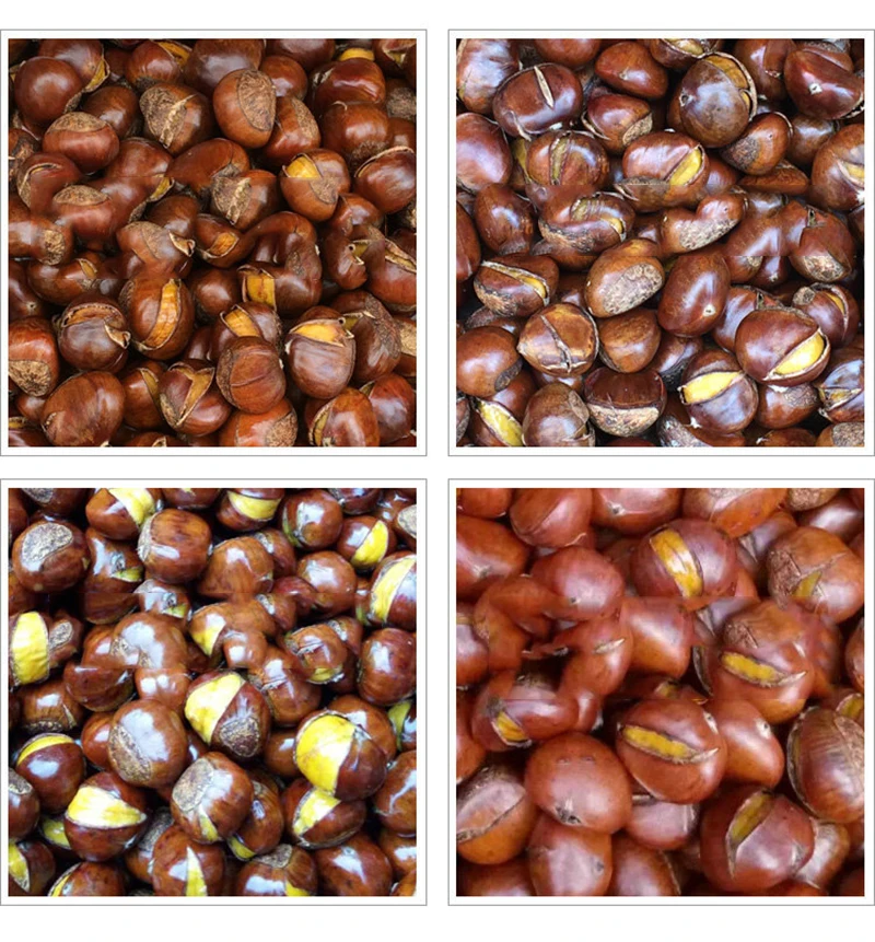 Automatic Chestnut Opening Machine 220V Commercial Chestnut Opening Machine Chestnut Processor Machine Double Chain