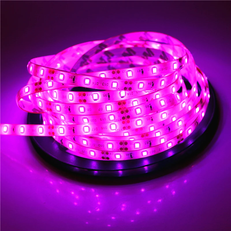 2835 SMD led streifen licht DC12V 5M 300LEDs flexible band band beleuchtung Weiß Warm weiß Rot Grün Blau gelb Rosa RGB