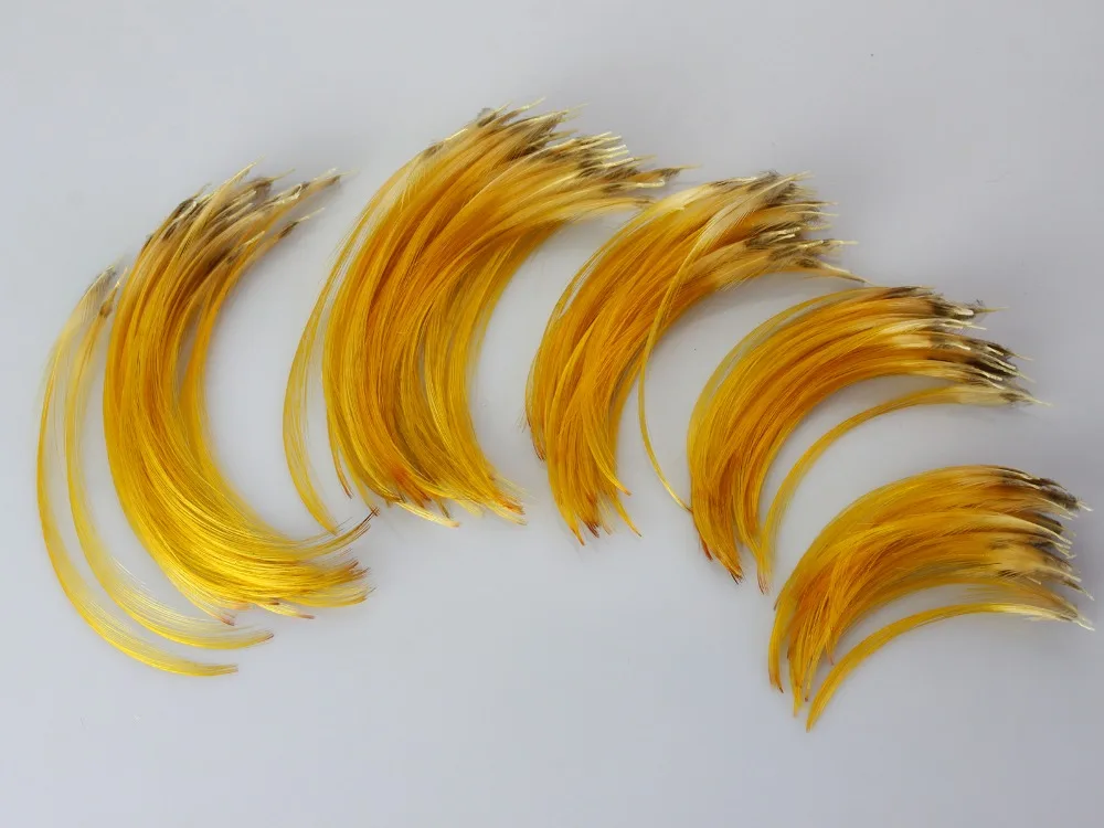 Hand Selected Golden Pheasant Crest Feathers Natural Fly tying material; Available In 4 Sizes