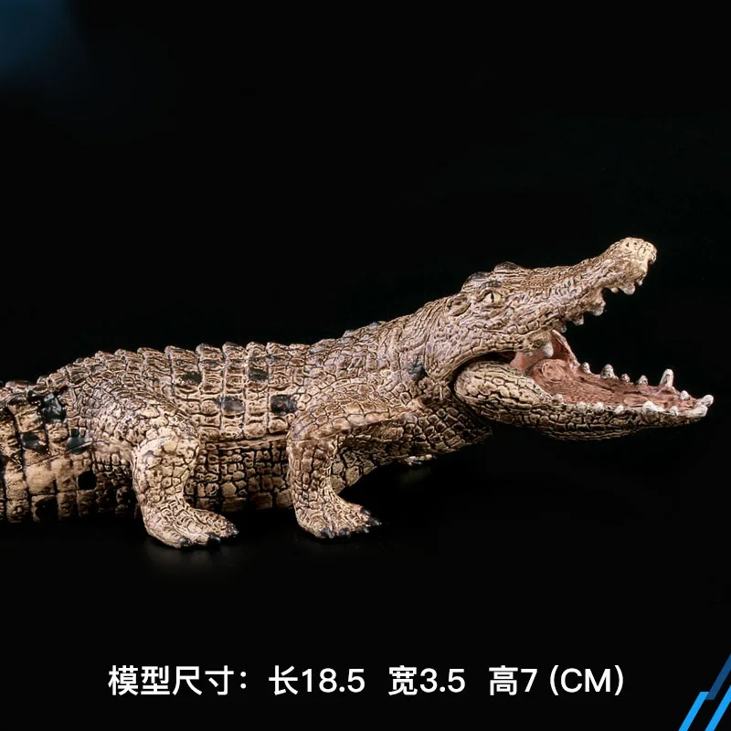 Simulation of Crocodiles Solid Model Ancient Crocodile Nile Alligator Model Cayman Prop Wildlife Wild Animal Cayman Decor Gift