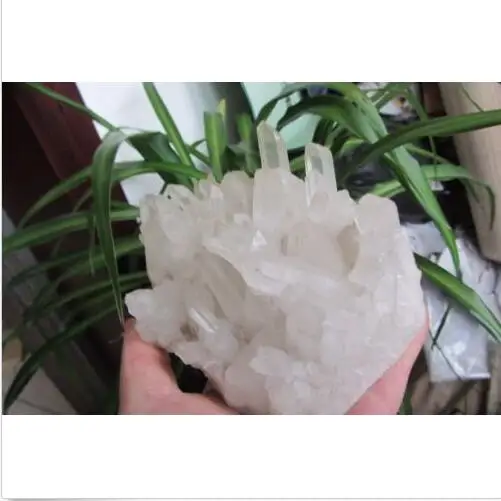 895.0g Clear Natural rare QUARTZ Crystal Cluster Specimen