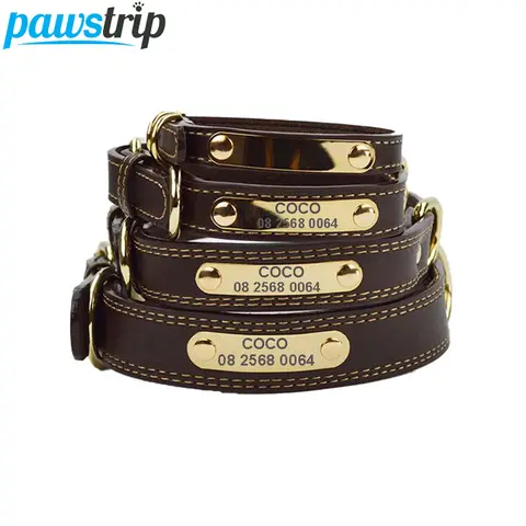Engraved Dog Collar Large pawstrip