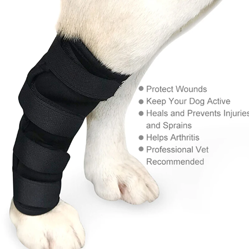 2018 New 1PC Dog Knee Support Leg Protector Brace for Hind Leg Hock Joint Wrap Breathable Injury Recover Legs Pet Leg Care