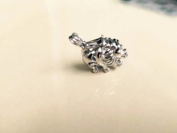 جميل لطيف الأسد شكل حبة المنجد قفص قلادة حوامل ، 18kgp علامات زودياك-أسلوب ليو سحر DIY 5 قطعة/الوحدة #4