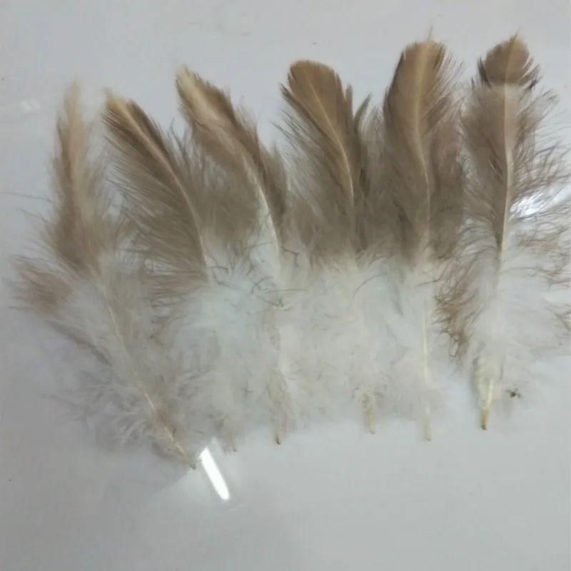 

Wholesale 50pcs / lot beautiful rare eagle feathers long 6-8 inch / 15-20 cm DIY decoration