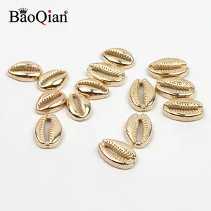 6ベストセールススモールシェル-5