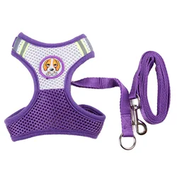Dog Leads Harness Sets Strong Nylon Leashes For Small Puppy Summer Outdoor Trainning Walking Collar Leash Pet Products Supplier