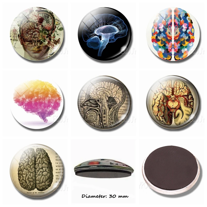 Brain Solution Plane Magnetic Refrigerator Stickers  Glass Dome  Science and Art  Cartoon Home Decor  30 MM