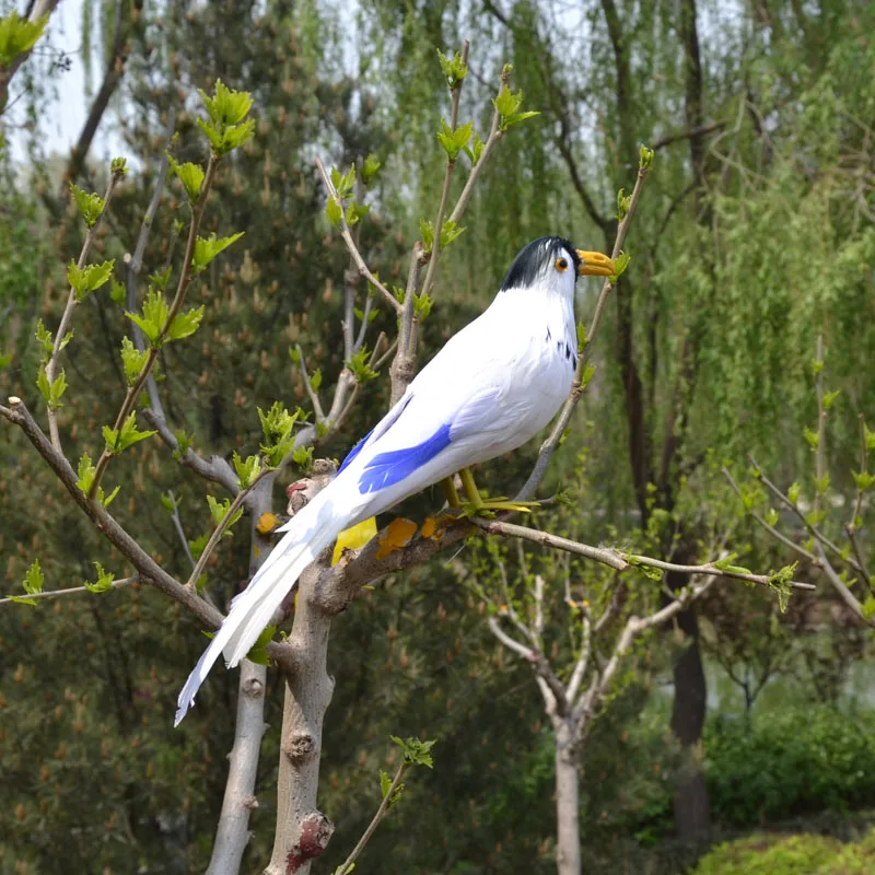 

30cm colourful feathers magpie bird ,Handmade model,polyethylene& feathers bird,show props,home decoration toy gift w3925