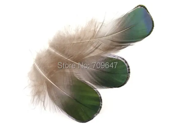 1000Pcs/Lot!5-7cm Green Bronze Lady Amherst Plumage Feathers,Natural Plumes for Earring|Millinery Jewelry Crafts Supplies