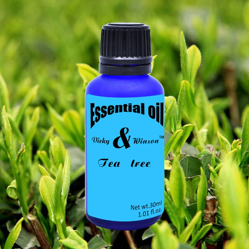 Vicky e winson Tea tree aromaterapia oli essenziali 30ml di Acqua-solubile in umidificatore vegetale puro aroma deodorizzazione