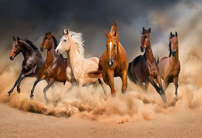 Horses Speeding Racing Wall Photography Backgrounds Photographic Customization Customize Backdrop for Photo Studio LV-1003