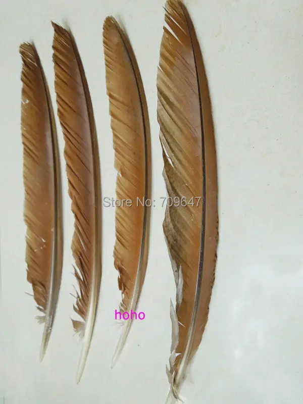 

50Pcs/lot!6-12inches Brown Peacock Quill Feathers,Plumas Decorativas,Centerpieces for Table Decoration