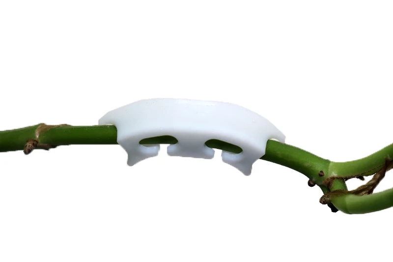 200pcs Tomato Gardening Retaining Clips Cherry Tomatoes Tomato Stalk Support Clip Ear Clip Semicircle Reinforcing New Material
