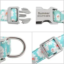 Personalized Floral Dog Collar #2