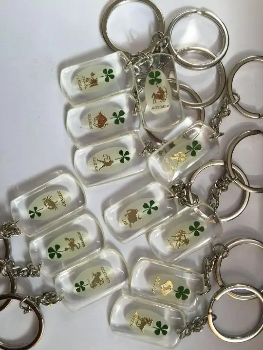 wholesale St Patricks day 12pcs constellation style real four leaf clover jewelry charming gift keychain