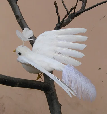 about 20x28cm foam&feathers white phoenix artificial bird handicraft,garden decoration prop gift a2537