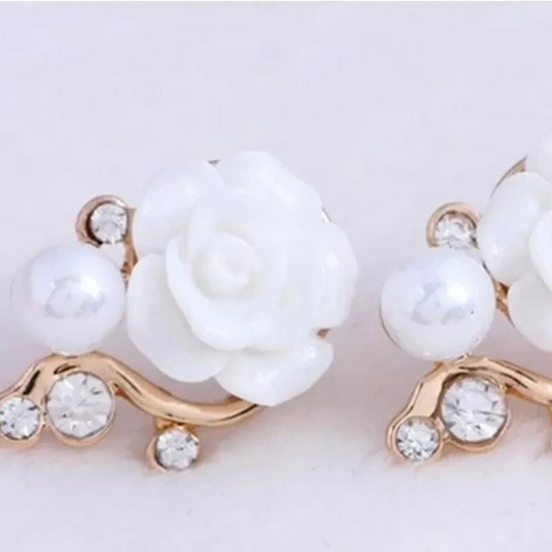 2021Korean Version Of The Lady Rose Flower Resin Rose Flower Earrings Foreign Trade New Ear Jewelry Wholesale Flower Earrings