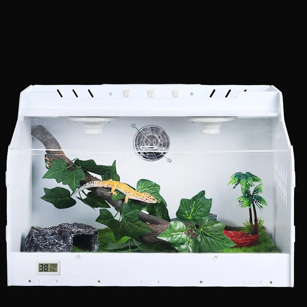 

Horned frog lizard spider insect hermit crab turtle tank reptile scorpion gecko Testudo elongata hedgehog incubator Breeding box