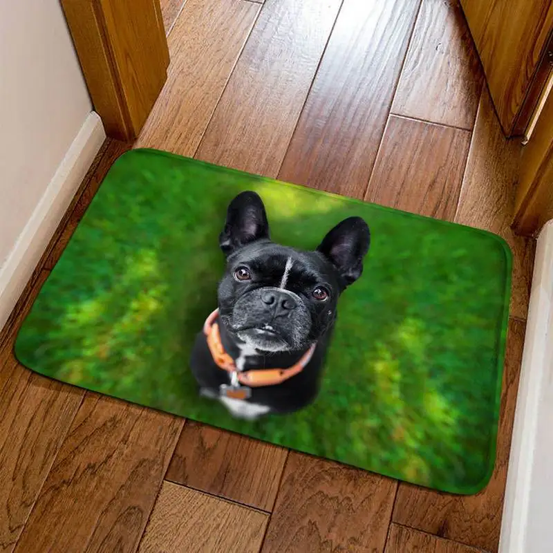 unny Front Entrance Door Carpet 3D Animals Dog Floor Carpets for Living Room Bedroom Non-Slip Kitchen Mats