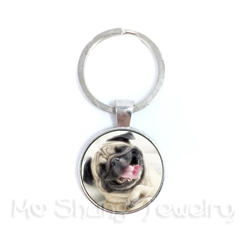 Schnauzer Picture Keychain 25mm Round Glass Dome Animal Pattern Series Key Holder Dog Lover Creative Gift Handmade Keyring