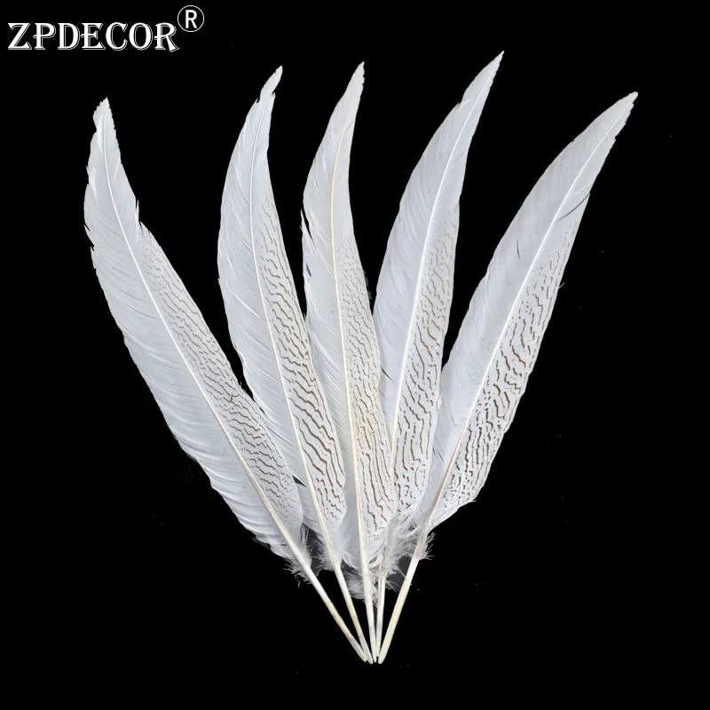 

50-55 CM/20-22 Inch Silver Pheasant Tail Feathers Color can be custom