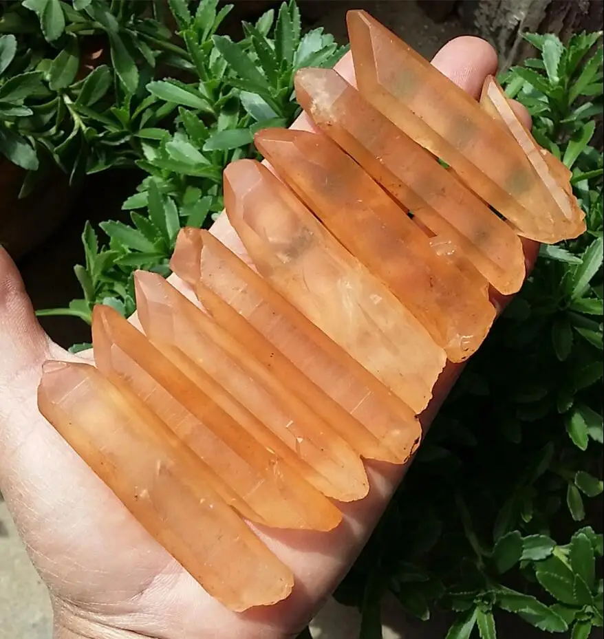 8pcs 218g Natural Lemurian Seed Quartz Crystal Point