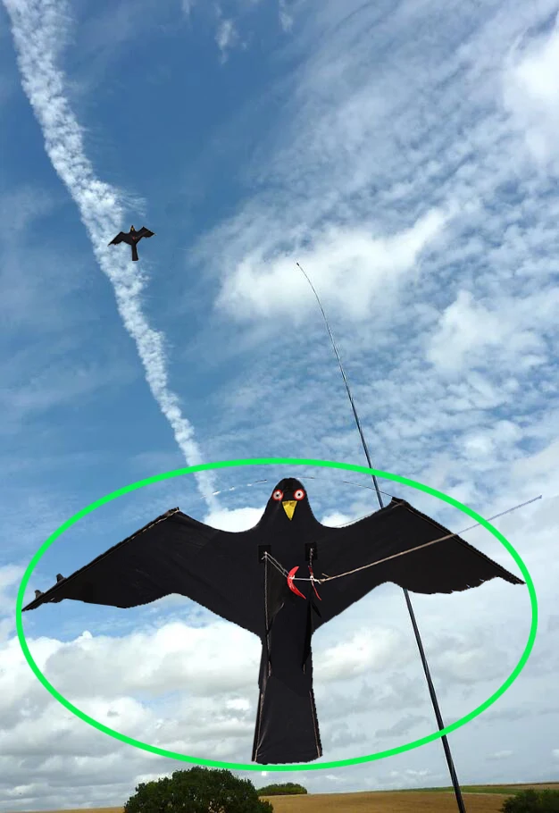 Hawk Kite great as a Bird Scarer Scarecrow Performing Bird Control for Home and Garden-Black(Pole not include)