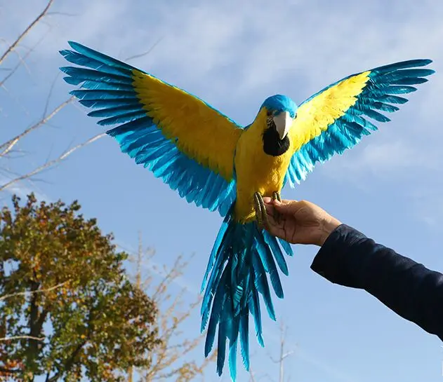 

big simulation wings parrot model polyethylene&feathers blue&yellow bird handicraft gift about 65x110cm s2970