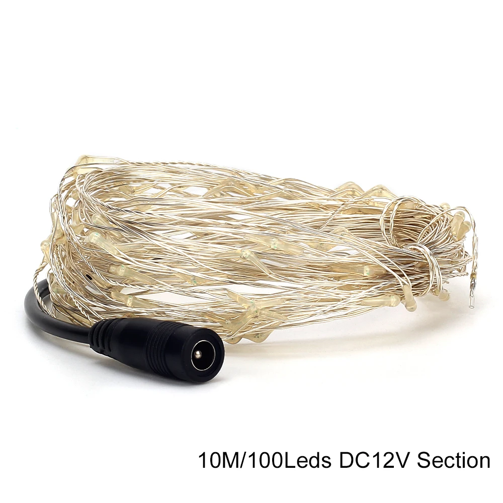 DC12V 10M LED String Light Copper wire 100LEDS String Light Waterproof IP65 Wedding Party Christmas Holiday Lights Decoration