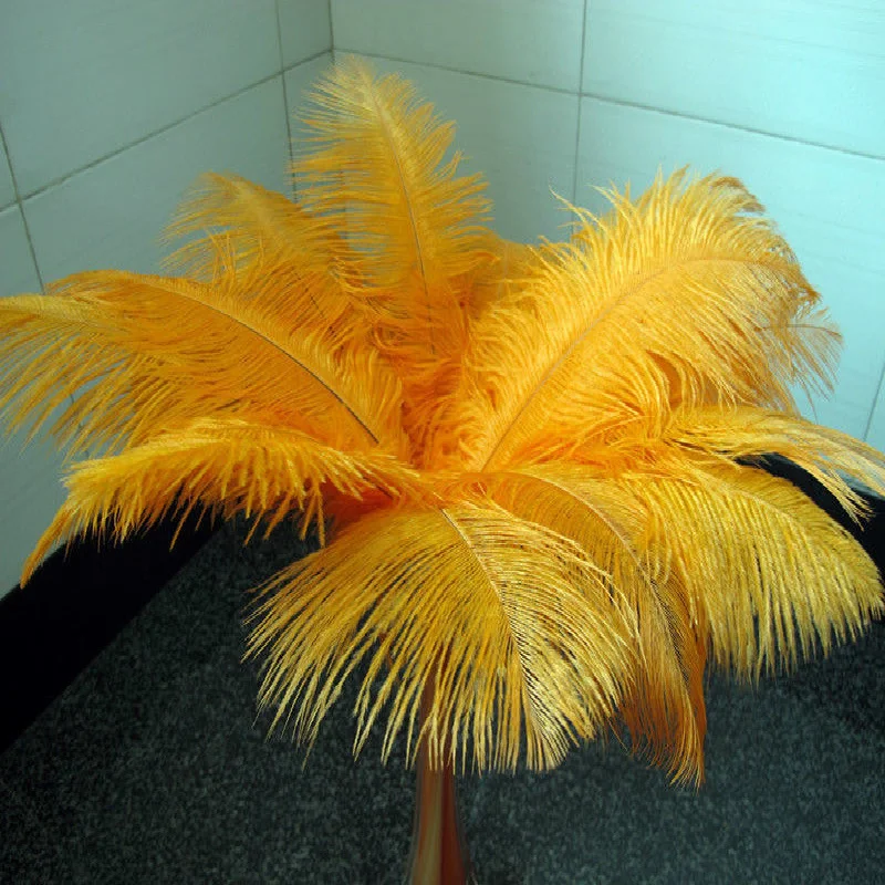 

Free shipping ! 20 pcs orange South African ostrich feathers. High quality feather wedding props 45-50cm 18-20inches