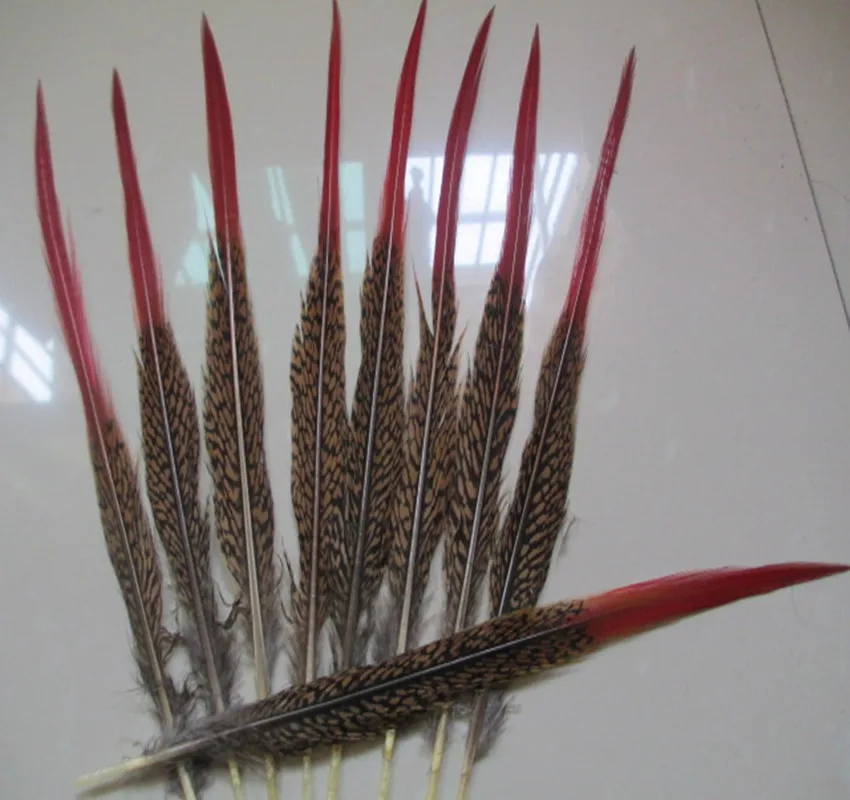 10 pcs natural golden pheasant feathers wedding decoration red tip 25-30 cm / 10-12 inches feather sale