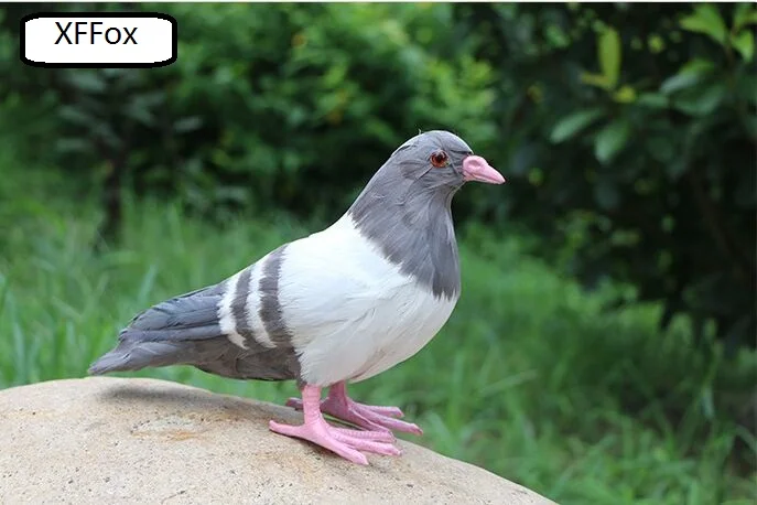 creative real life gray pigeon model plastic&feather pink feet&mouth dove bird doll about 22x18cm xf0037