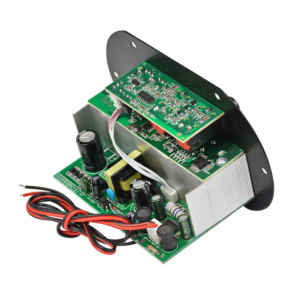 AIYIMA Mono Subwoofer Verstärker Bord Dual Mikrofon K Song Bluetooth Verstärker 30-150W Für 6-10 Zoll lautsprecher 220V 12V 24V