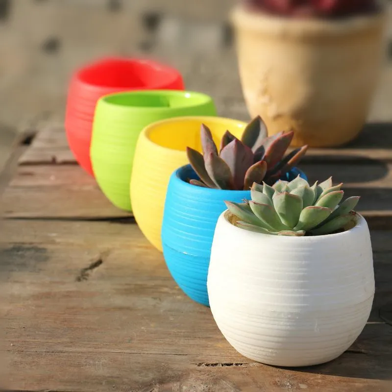 

Wholesale Flower Pots Mini Flowerpot Garden Unbreakable Plastic Nursery Pots Plastic for Succule 20pcs