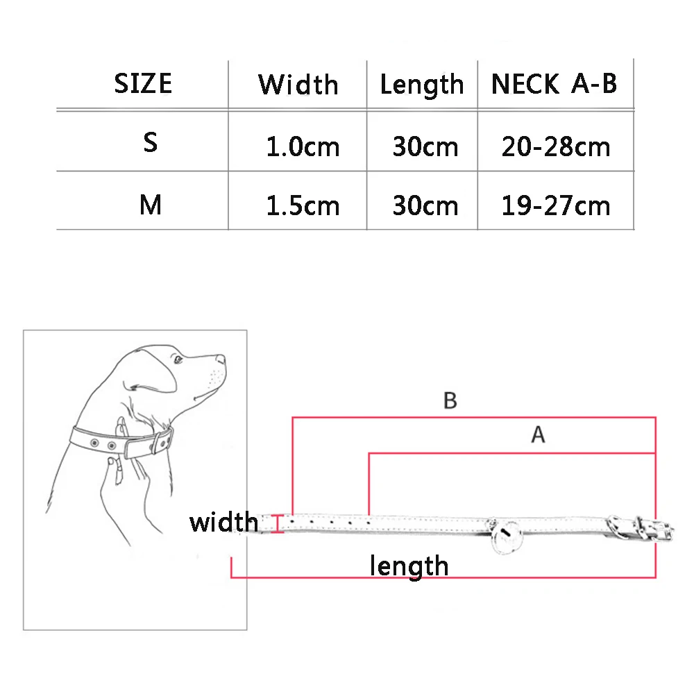 Collier de sécurité pour chat, Chihuahua, solide, pour chien, chaton, laisse réglable pour animaux de compagnie, fournitures de plomb pour chat